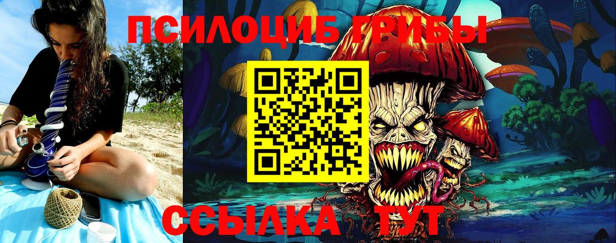 Псилоцибиновые грибы Psilocybe Калининград