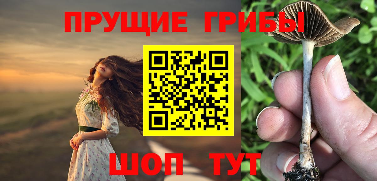 Псилоцибиновые грибы GOLDEN TEACHER  Вход с VPN  Калининград 